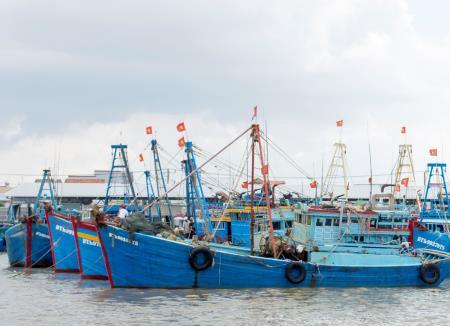 “Hạn chế tàu giã cào bay là lo cho bà con”