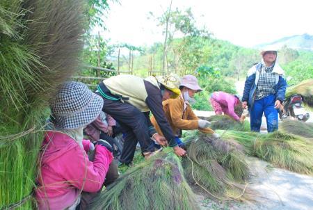 “Lộc rừng” trên dãy Trường Sơn!