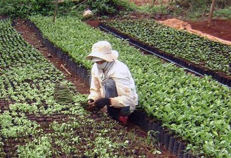 Ở nơi "tột cùng" xứ Thanh