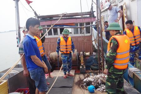 Đẩy mạnh tuyên truyền ngăn ngừa tàu giã cào hoạt động trái quy định