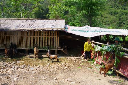 Mô hình sinh kế giúp nhân dân xóa nghèo bền vững