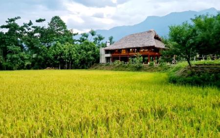 Khai thác tiềm năng “bản địa” để phát triển du lịch