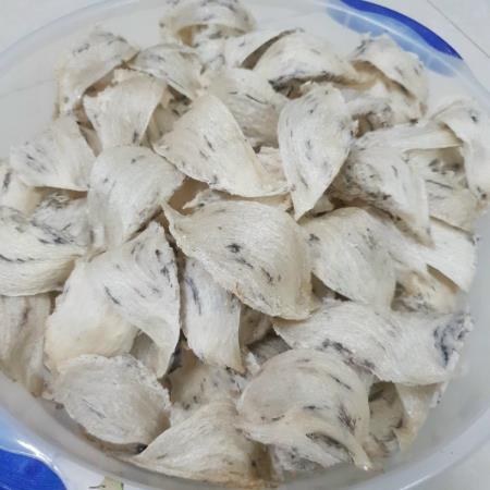 Tăng cường quản lý nuôi chim yến và đẩy mạnh xuất khẩu các sản phẩm tổ yến