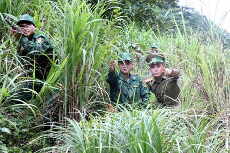 BĐBP Hà Tĩnh phòng ngừa, đấu tranh hiệu quả với tội phạm ma túy trên khu vực biên giới