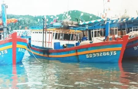 Bình Định: Tăng cường quản lý tàu cá địa phương ở ngư trường phía Nam