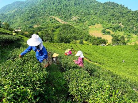 Từng bước tháo gỡ khó khăn, vướng mắc để thực hiện hiệu quả Chương trình mục tiêu quốc gia