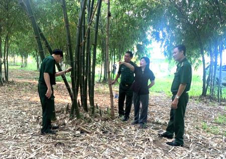 Kiểm tra, nắm tình hình thực hiện chương trình phối hợp giữa Trung ương Hội Nông dân Việt Nam và Bộ Tư lệnh BĐBP tại Bình Thuận