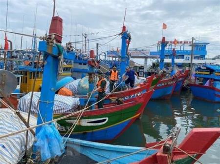 Các địa phương chủ động ứng phó với bão số 1 và mưa lũ