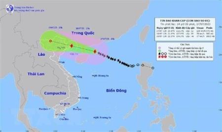 Bão số 1 gió giật cấp 15, cách Móng Cái khoảng 480km