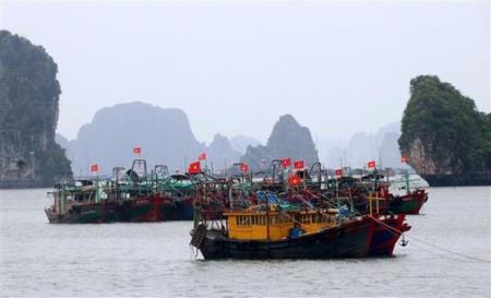 Bão số 1 còn cách Móng Cái khoảng 60km, gió giật cấp 8