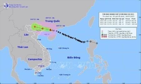 Sức gió vùng gần tâm bão số 1 giật cấp 12, biển động rất mạnh