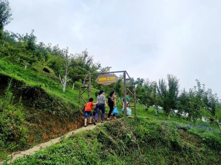 Mùa lê ở Hoàng Thu Phố