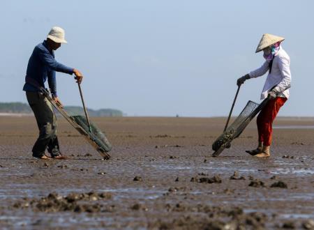 Thạnh Phú khai thác tiềm năng để phát triển du lịch