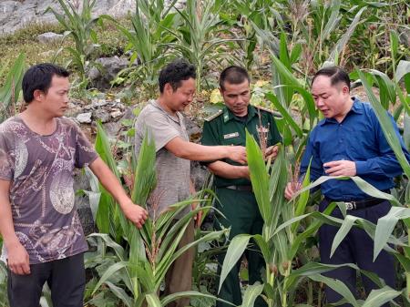 Phú Lũng - Đô thị mới trên cao nguyên đá