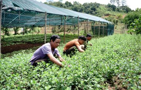 Thay đổi tư duy, liên kết để phát triển