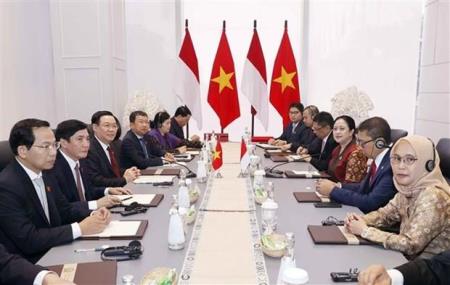 "Việt Nam là đối tác quan trọng chiến lược của Indonesia ở khu vực"