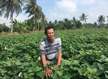 Kiên Giang giảm nghèo nhanh ở vùng đồng bào dân tộc Khmer