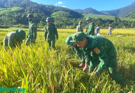 Đồn Biên phòng cửa khẩu quốc tế Cha Lo giúp dân thu hoạch lúa Hè Thu