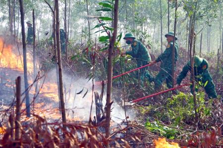 Thừa Thiên Huế: Diễn tập phòng cháy, chữa cháy rừng
