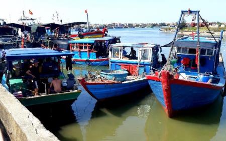 Xử lý nghiêm các tàu cá hành nghề trái phép trên biển