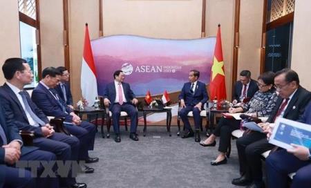 Việt Nam thúc đẩy hơn nữa quan hệ đối tác chiến lược với Indonesia