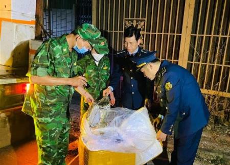 BĐBP Quảng Trị: Bắt giữ, xử lý 1,7 tấn nội tạng động vật đã bốc mùi hôi thối