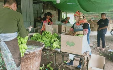 Xuất khẩu nông, lâm, thủy sản suy giảm