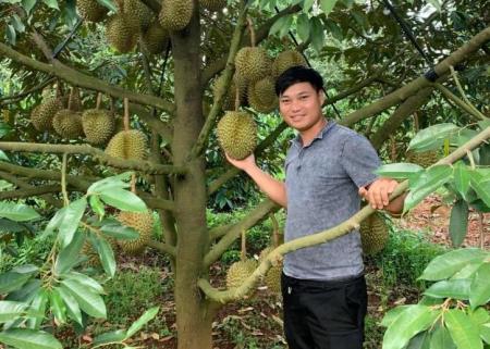 Đổi mới tư duy để phát triển nông nghiệp xanh, sạch, bền vững