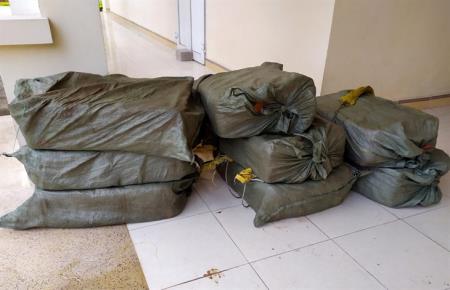 Thu giữ 100kg nầm lợn và 80kg xương ngựa nhập lậu