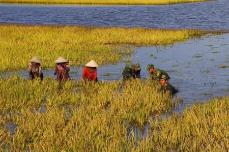 Phát huy truyền thống công tác dân vận của Đảng, tỏa sáng hình ảnh cao đẹp “Bộ đội Cụ Hồ” thời kỳ mới