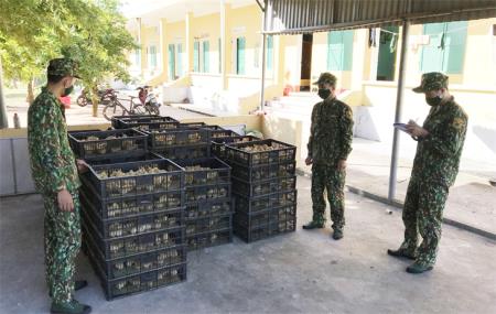 Tạm giữ phương tiện vận chuyển trái phép 11 nghìn con gà giống qua biên giới