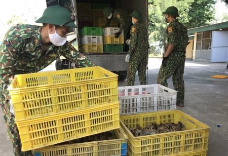 Bắt giữ phương tiện vận chuyển 12 nghìn con gà giống không rõ nguồn gốc