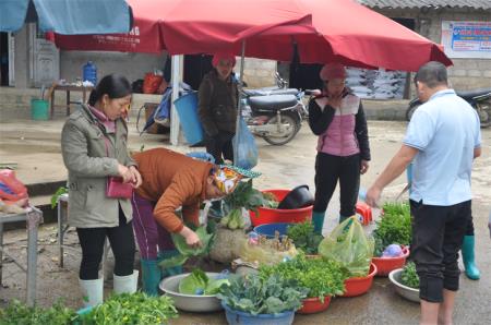 Quản Bạ chuyển mình từ phát triển cây con, hàng hóa