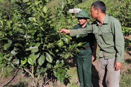 Hiệu quả thiết thực từ quy chế phối hợp giữa Đảng ủy BĐBP và Tỉnh ủy Sơn La