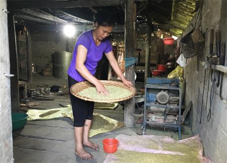 Nhớ hương cốm Cao Bằng