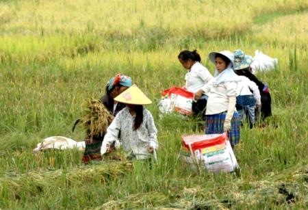 Thúc đẩy bình đẳng giới, nâng cao vị thế cho phụ nữ dân tộc thiểu số