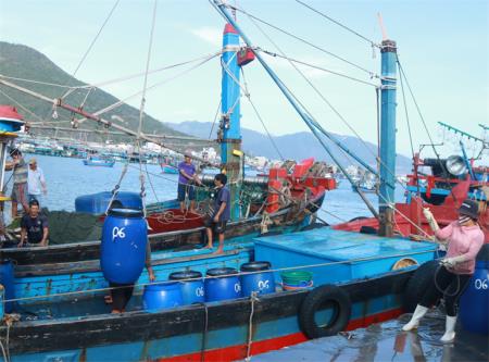 Tàu cá hợp sức “tác chiến” trên biển (bài 2)