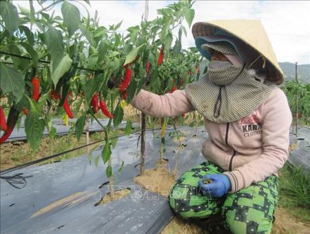 Cơ hội “vàng” để phát triển nhanh, bền vững