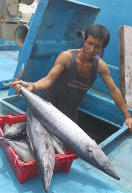 “Quyết làm giàu trên biển”