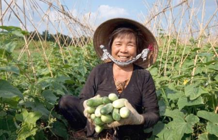 Bạc Liêu thực hiện có hiệu quả chính sách dân tộc