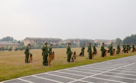 Quyết tâm đạt thành tích cao tại Hội thao Quân sự quốc tế 2020