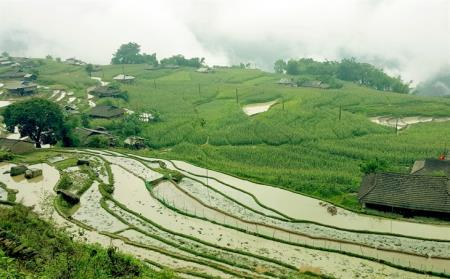 Ruộng bậc thang - vốn tri thức dân gian của miền núi cao