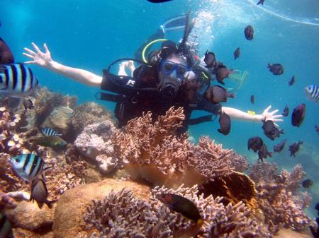 Du lịch Nha Trang đang khởi sắc