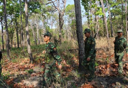 Rừng Tây Nguyên đang suy kiệt