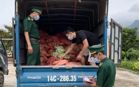 Bắt giữ 1.500 kg thực phẩm không rõ nguồn gốc