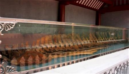 Ngôi đền thiêng thờ cá Ông nơi làng biển