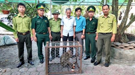 Bàn giao cá thể khỉ mốc cho Vườn Quốc gia Vũ Quang