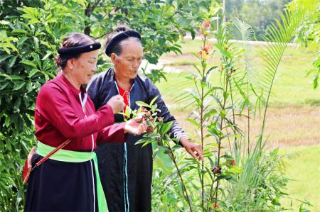 Khúc hát soọng cô của sơn ca núi