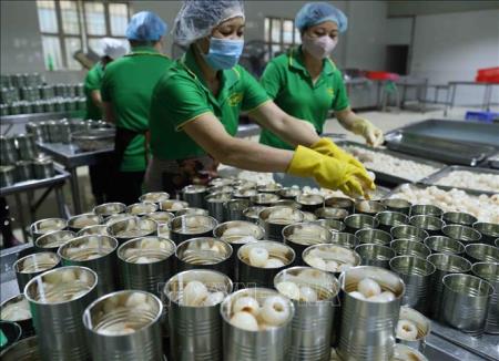 Xây dựng Kế hoạch phát triển KT-XH và Dự toán ngân sách nhà nước năm 2021