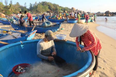 Nắng sớm ban mai trên những phiên chợ làng chài